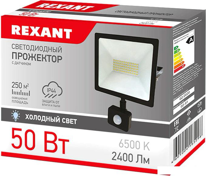 Уличный прожектор Rexant 605-009